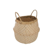 Kosh organizues IMRAN