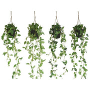 Lule të varura, 182 cm