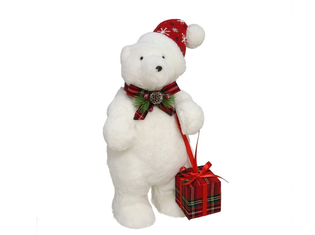 Ari polar me kuti dhuratash