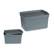 Organizues GREY, 2,3l