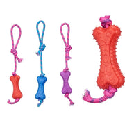 Top kafshe shtëpiake