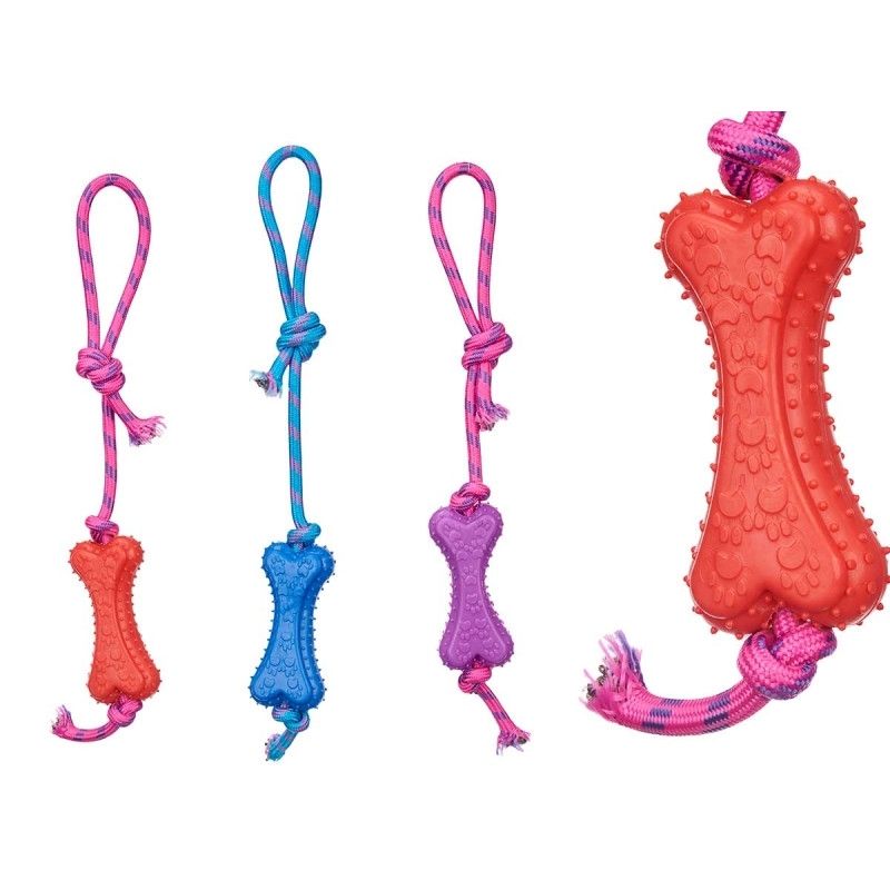 Top kafshe shtëpiake