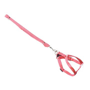 Litar kafshe shtëpiake