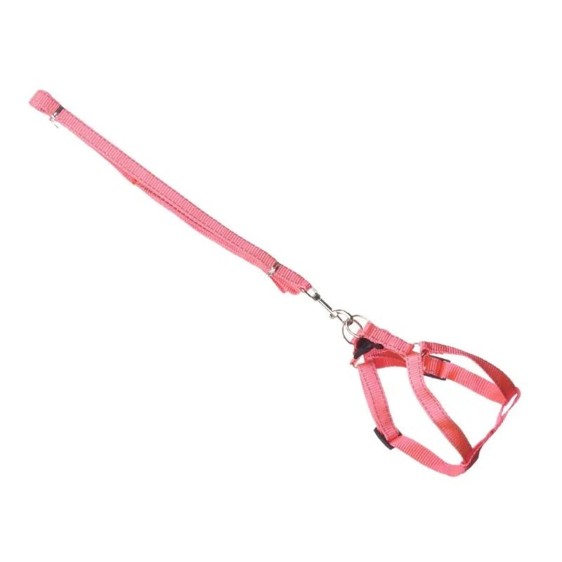 Litar kafshe shtëpiake