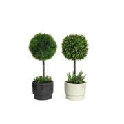 Vazo dekorative me bimë artificiale BOXWOOD