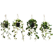 Lule të varura, 68 cm