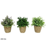 Lule EUCALIPT, 23 cm