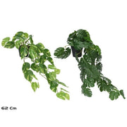 Lule MONSTERA, 62 cm