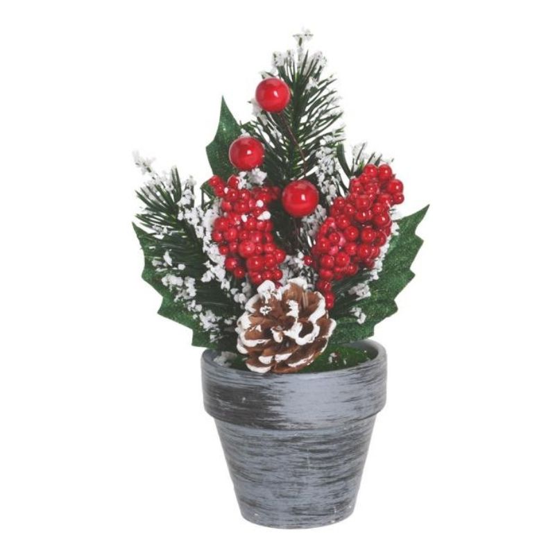 Pemë Krishtlindjesh në vazo dekorative