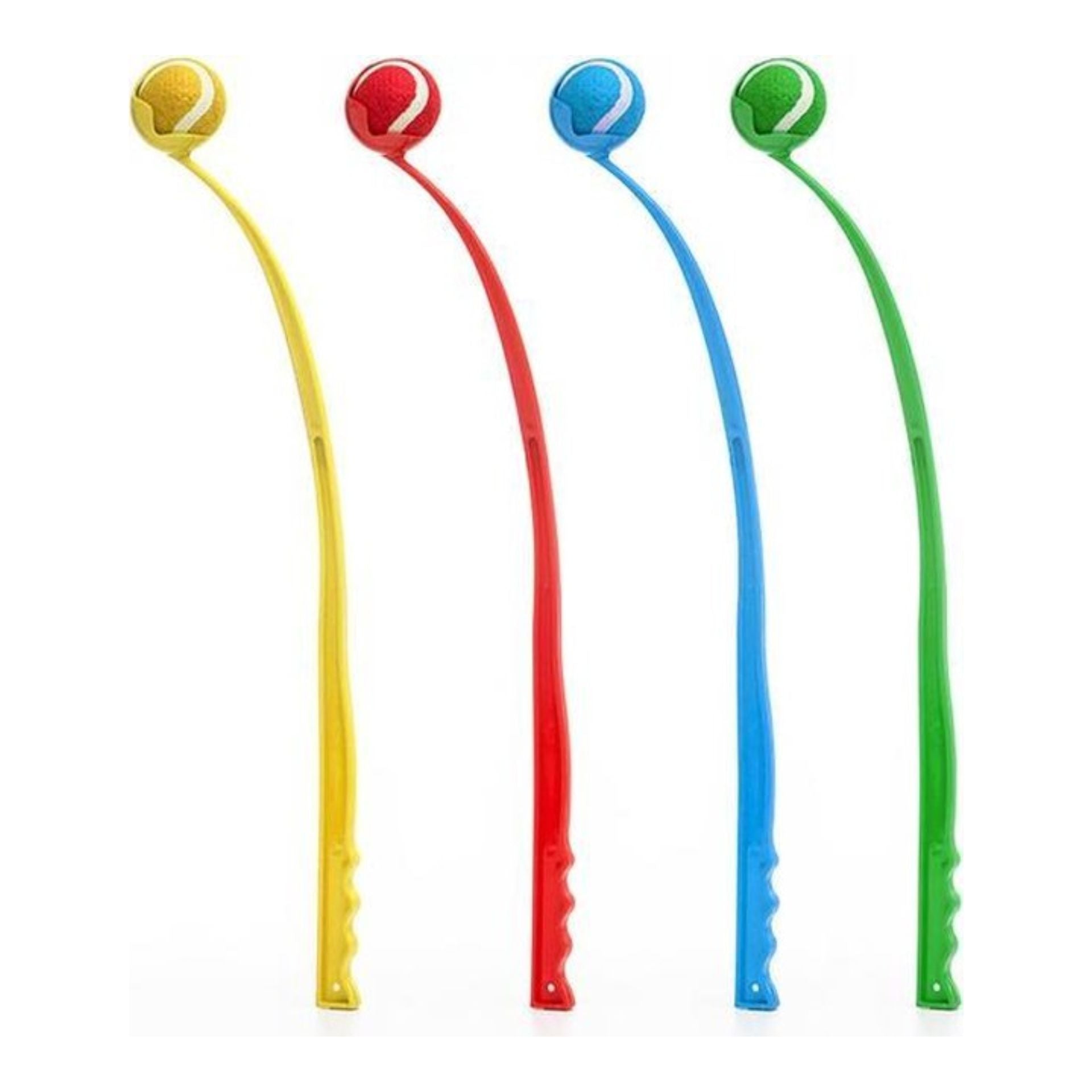 Lodër hedhje topi për qen