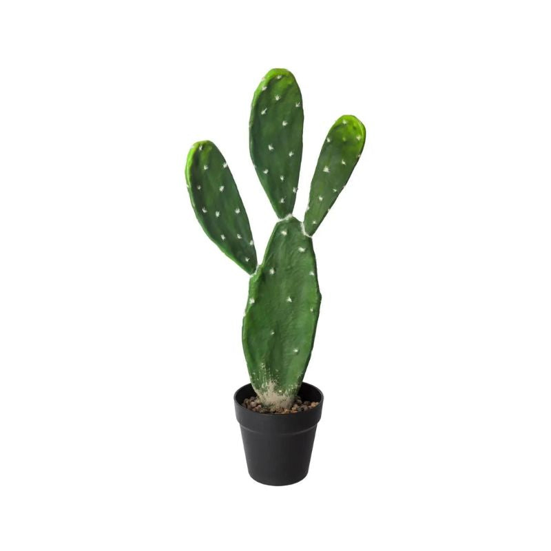 Lule artificiale CACTUS