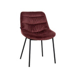 Karrige AMELI, Red