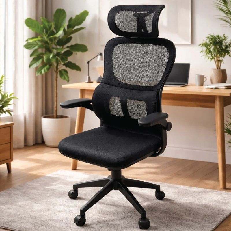 Karrige zyre DALIN, Black