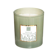 Qiri aromatik