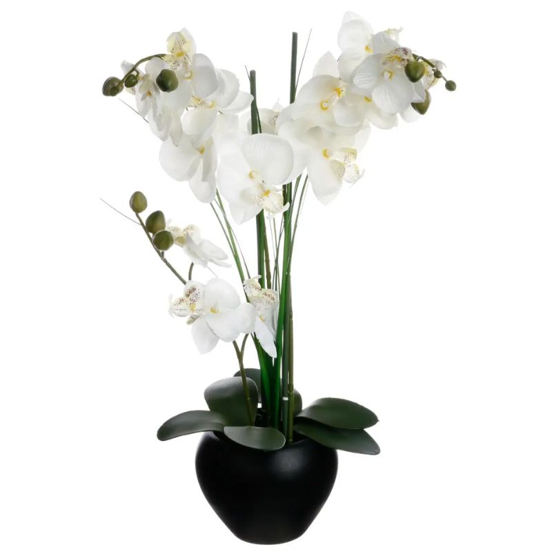 Vazo me lule ORCHIDE