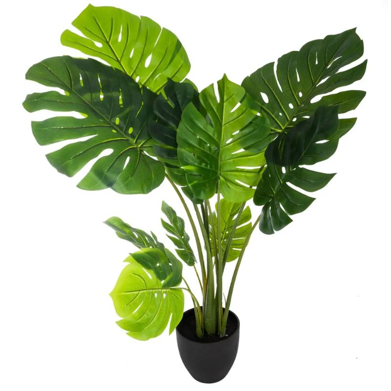 Vazo PHILO MONSTERA H110
