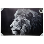Panoramë LION
