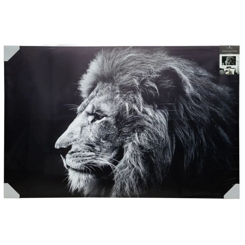 Panoramë LION