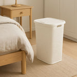 Kosh rrobash plastik, 60L