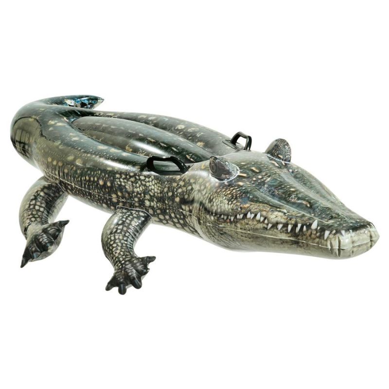 Komardare Krokodil
