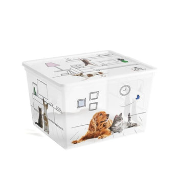 Kuti organizimi PETS