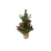 ﻿Pemë dekoruese për Krishlindje