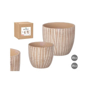 Set Vazo, 2 copë