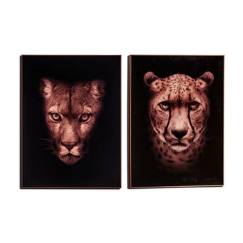 ﻿Pikturë Cuadro Leopardo -Puma Surt