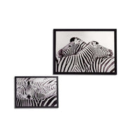 Kanavacë ZEBRA