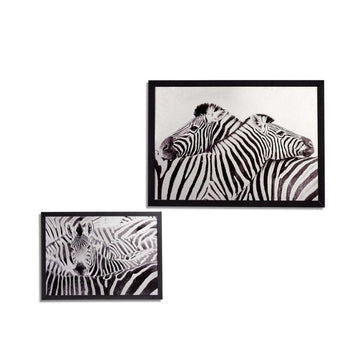 Kanavacë ZEBRA