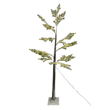 Pemë Krishtlindjesh JUPITER, 210 cm