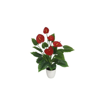 Lule dekorative ANTHURIUMS