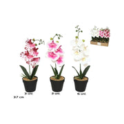 Lule dekorative ORCHID
