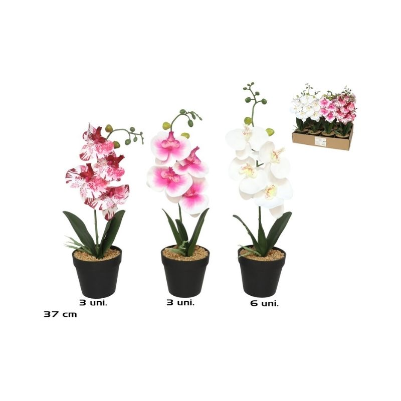 Lule dekorative ORCHID