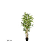 Pemë Bamboo, 150 cm