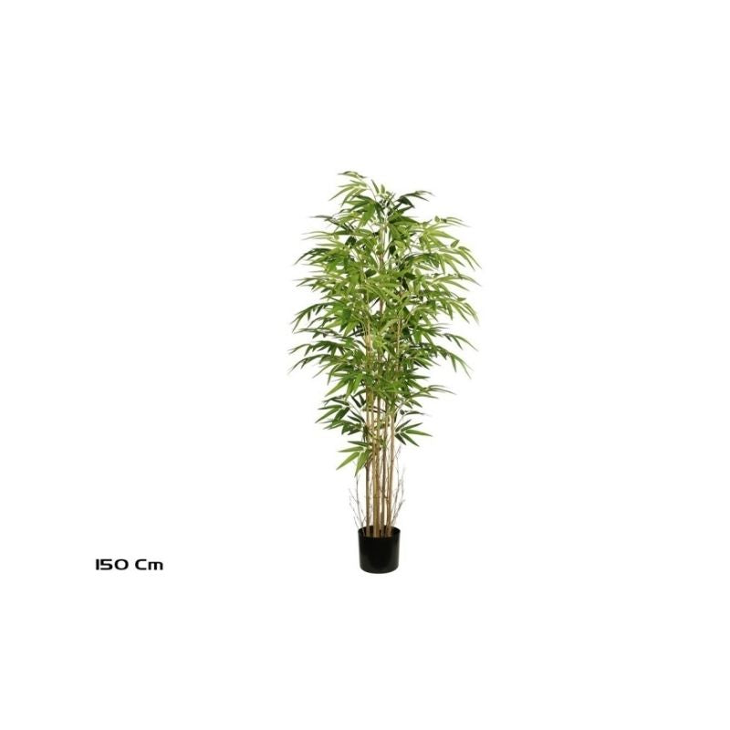 Pemë Bamboo, 150 cm