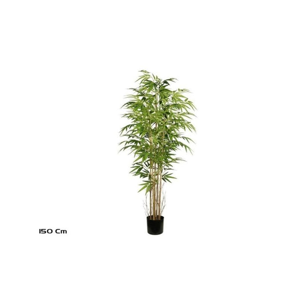 Pemë Bamboo, 150 cm