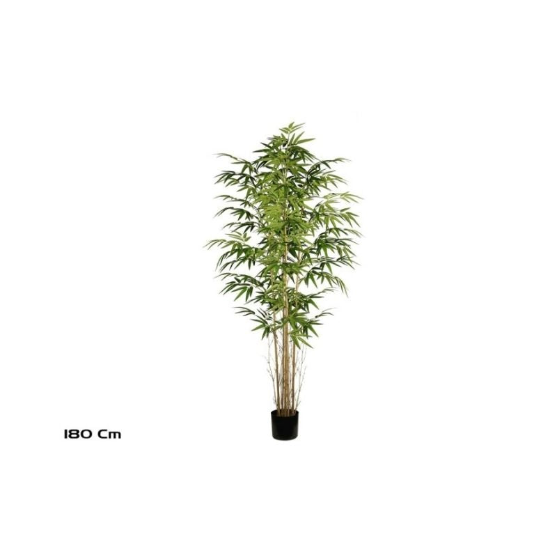 Pemë Bamboo, 180 cm