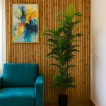 Palmë, 183 cm