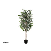 Vazo lule FICUS, 150 cm