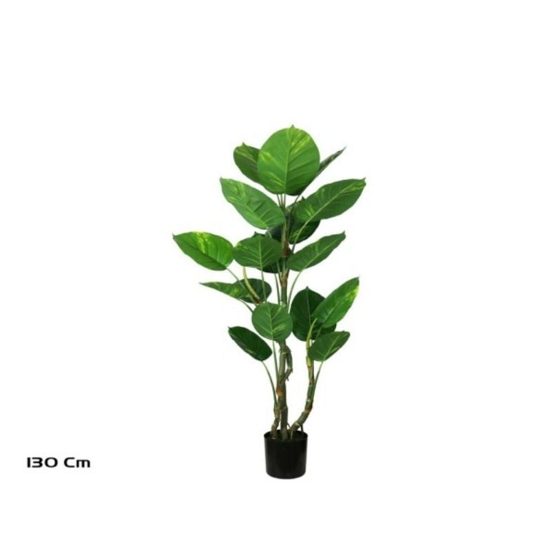 Pemë POTHOS, 130 cm