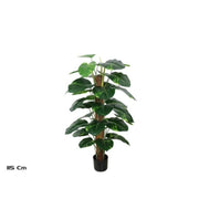 Lule POTHOS, 115 cm