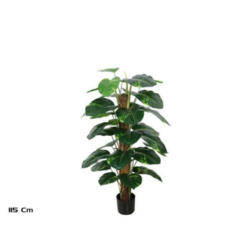 Lule POTHOS, 115 cm