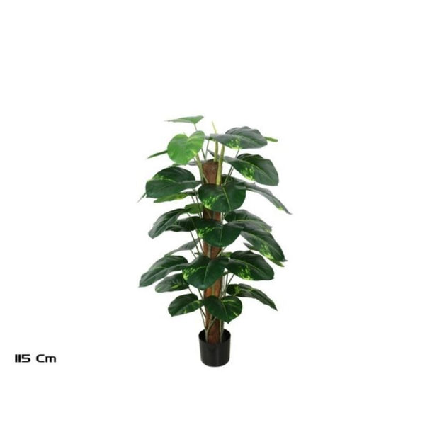 Lule POTHOS, 115 cm