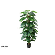 Lule POTHOS, 152 cm