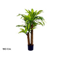 Pemë artificiale DRACAENA