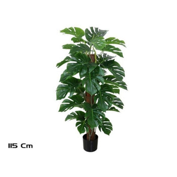 Pemë MONSTERA, 115 cm