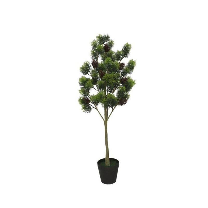 Pemë Krishtlindjesh JUAN, 95CM