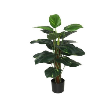 Lule POTHOS, 75 cm