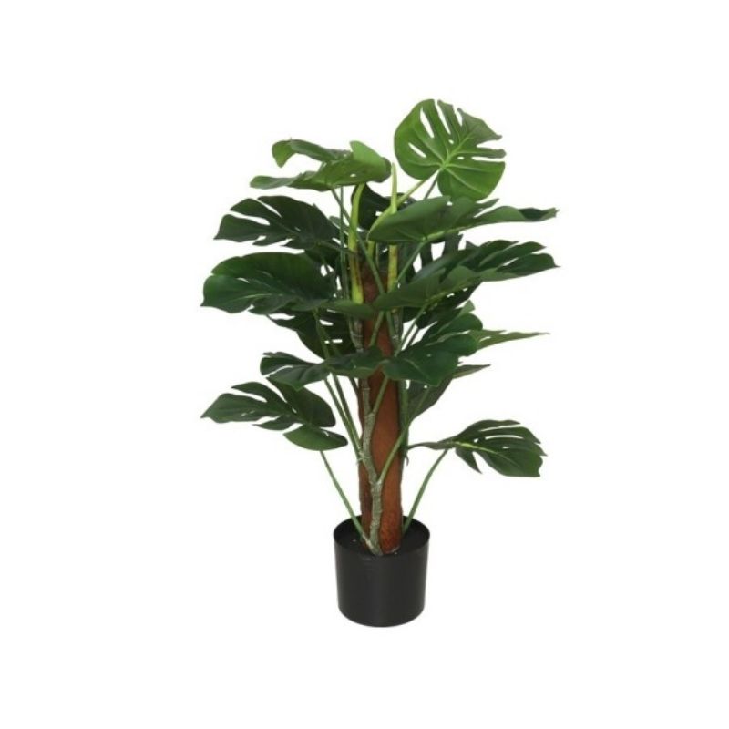 Pemë MONSTERA, 75 cm